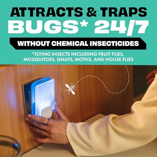 Indoor Fruit Fly & Gnat Insect Trap – Indoor Pest Control