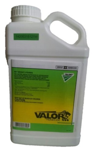 Valor SX Herbicide -5 Pounds – 51% flumioxazin