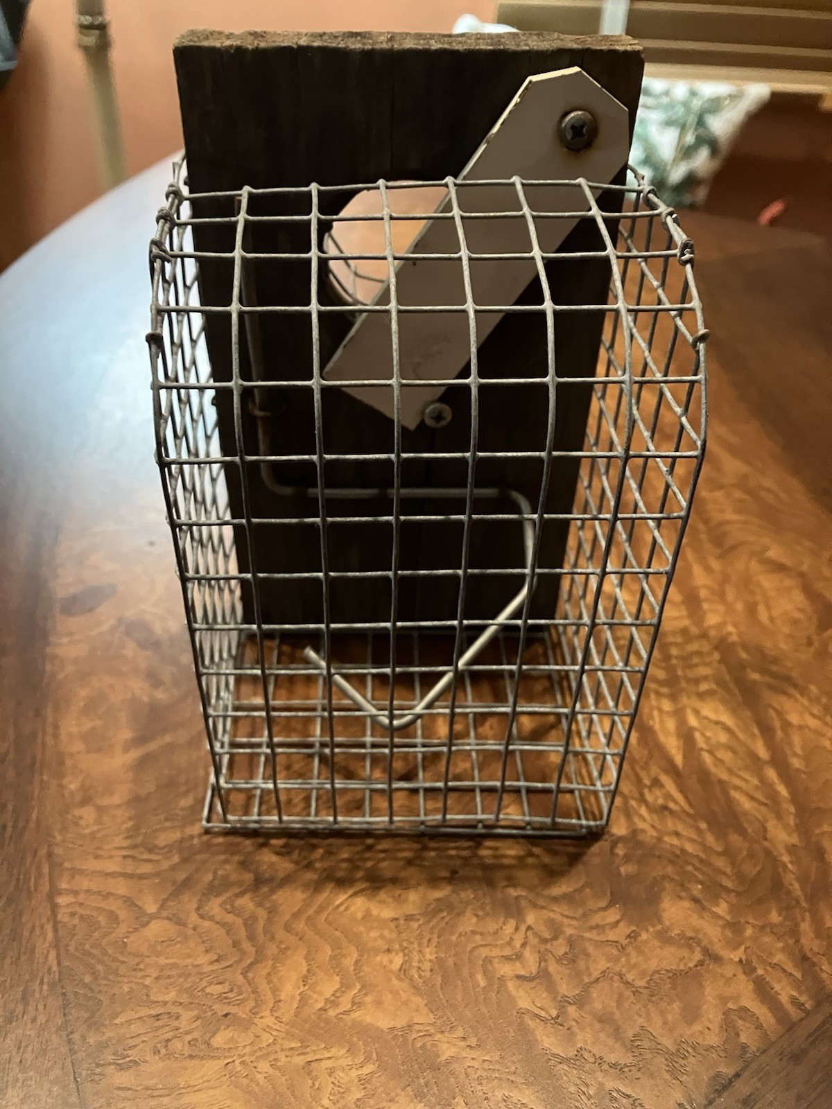 Vintage Mouse Trap. Catch Alive Mouse. Great Condition. Rare & Unique Item
