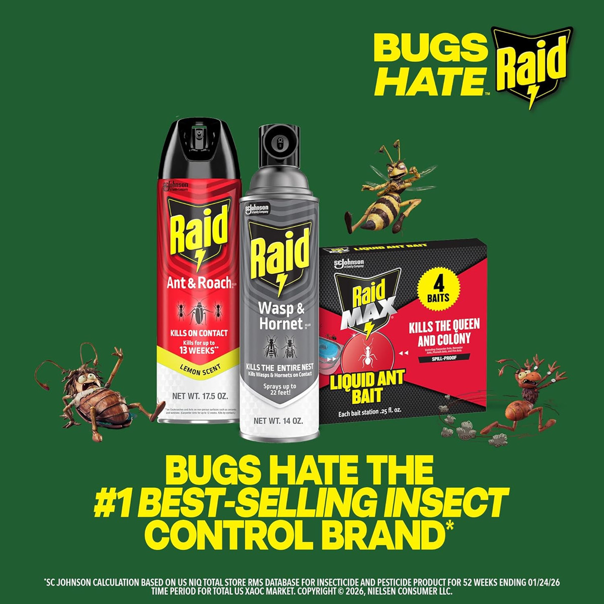 Raid Wasp & Hornet Killer Spray, Kills the Entire Nest, For Paper Wasps, Yellow