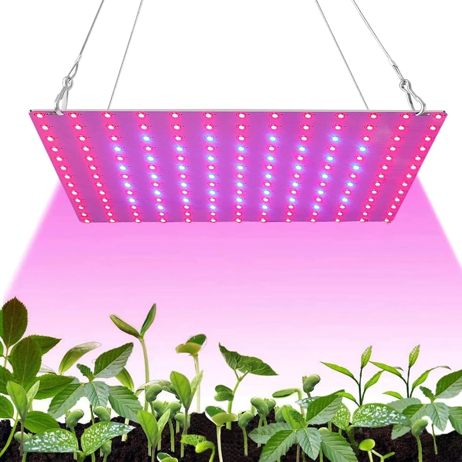1000W Grow Light Full Spectrum LED Growing Lamp for Indoor Veg Bloom