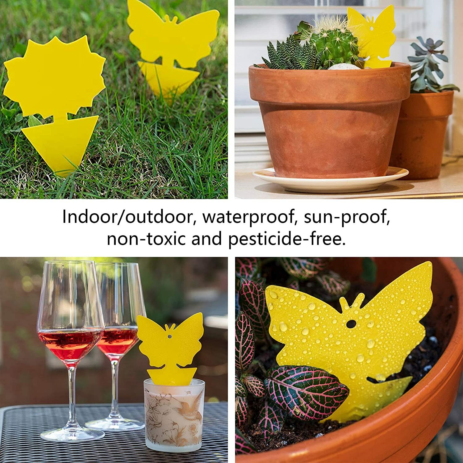 Sticky Fruit Fly Traps, Fungus Gnat Killer Trap use for Indoor Outdoor, 48 pcs
