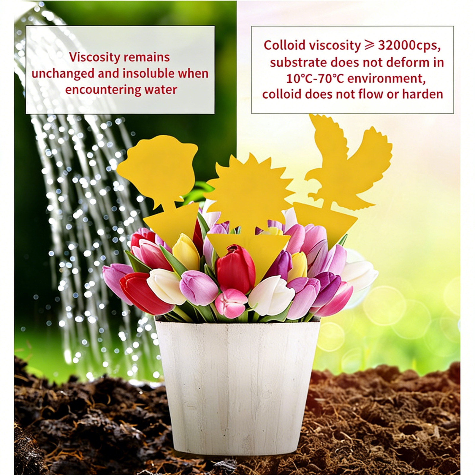 50X Yellow Sticky Fruit Fly Traps Fungus Gnat Killer Trap Use for Indoor Outdoor
