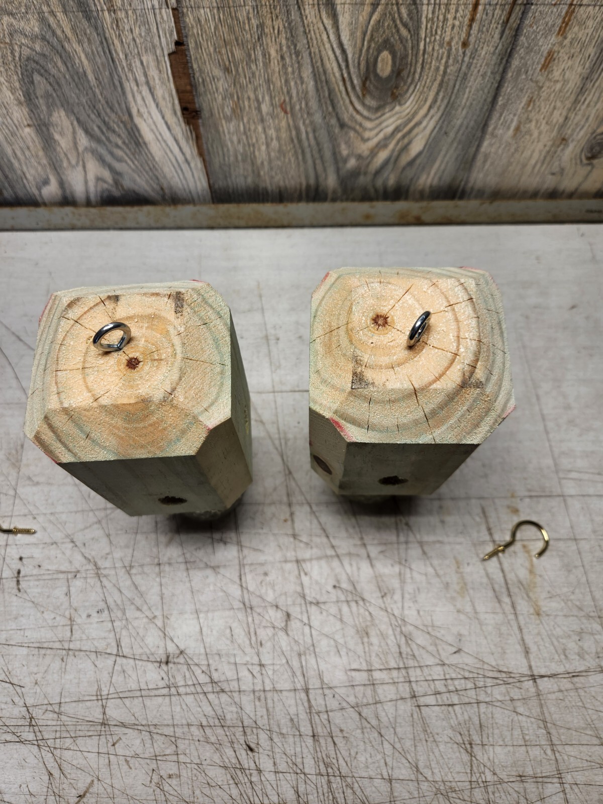 lot of 6 carpenter bee traps