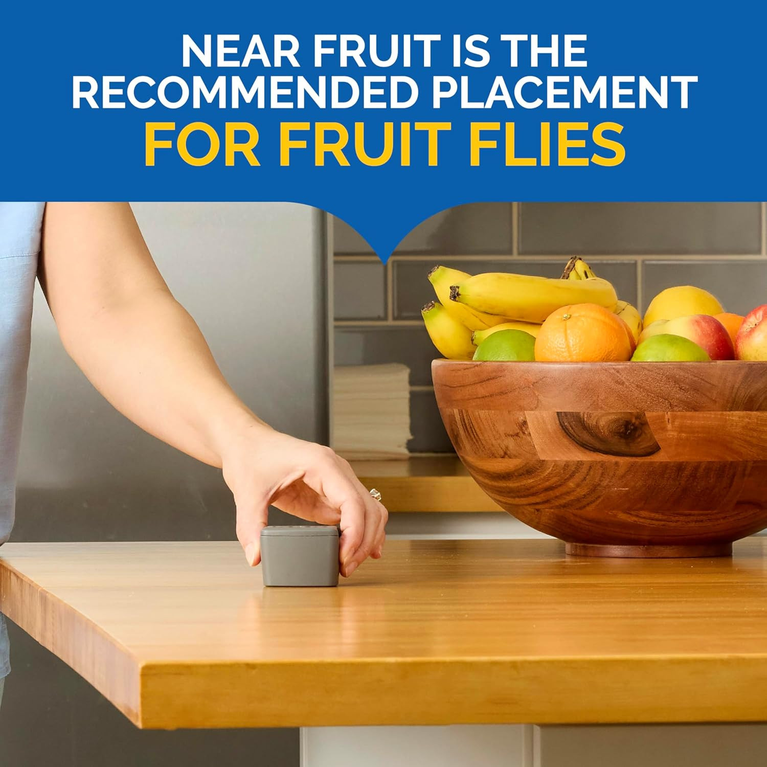 Flying Insect Trap, Discreet, Hassle-Free Trap Attracts, Captures House and Frui