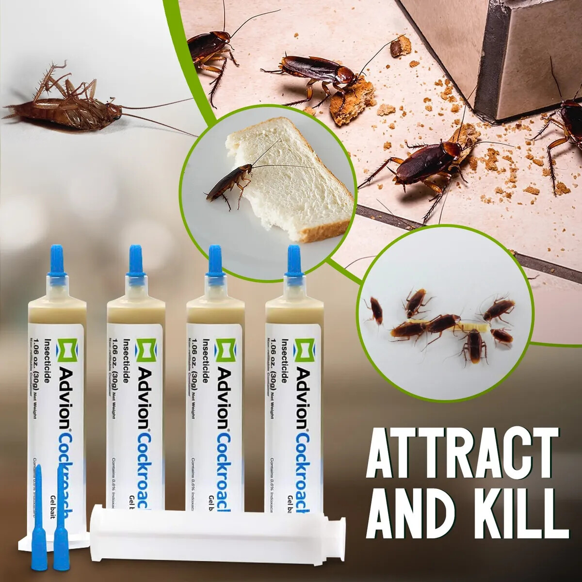 Advion Cockroach Roach Control Bait Gel ~ Kill American Brown German Asian etc