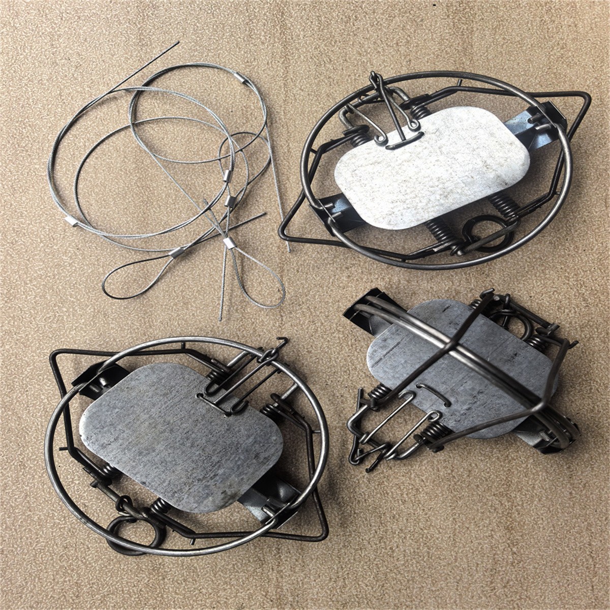 3Counts 5.12In / 13cm Strong Power Coil Spring Nutria Rabbit Trap Mice Rat Mouse