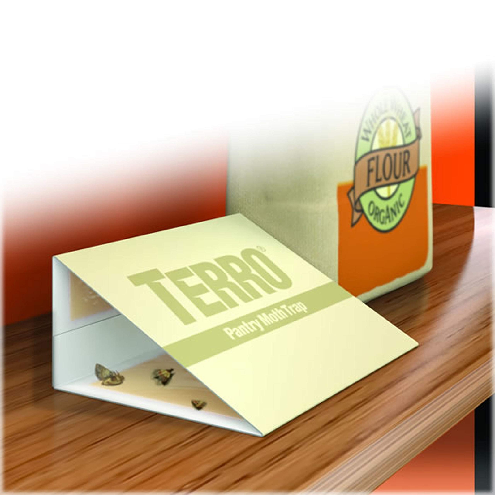 TERRO Pantry Moth Trap 2 pk T2900