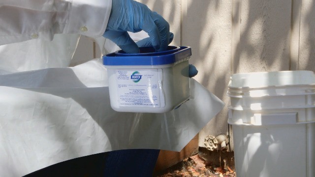 Foaming Root Control for Sewer Lines and Septic Systems 2 lb Jar