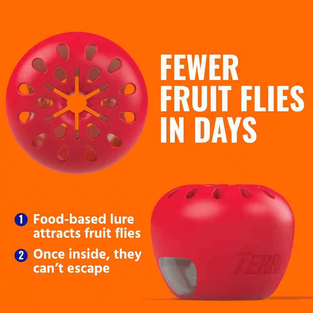 Indoor Fruit Fly Trap, (2-count) , Terro Traps, In Built With Window Sinks…