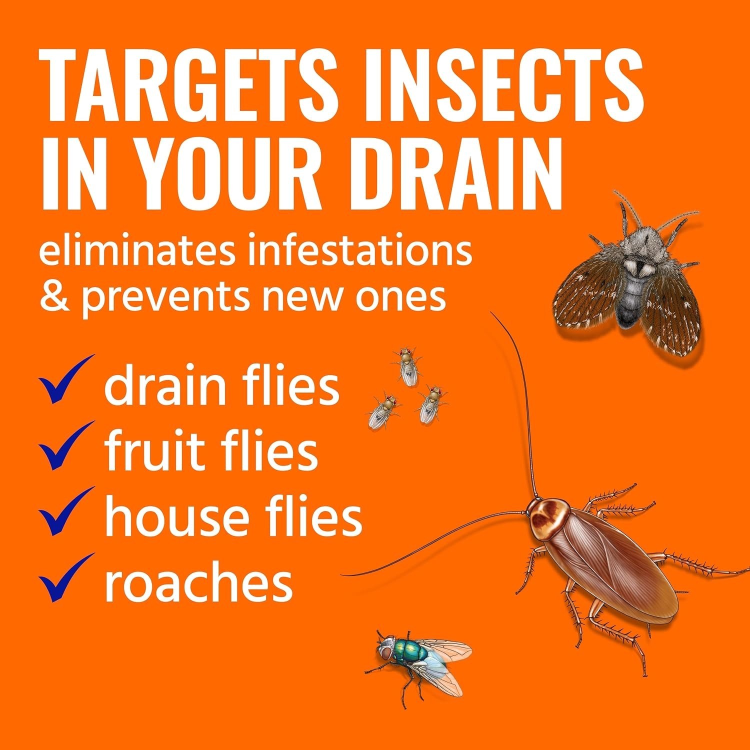 TERRO T590 Drain Insect Killer Foam 1-Pack – Indoor Infestation Treatment for Co