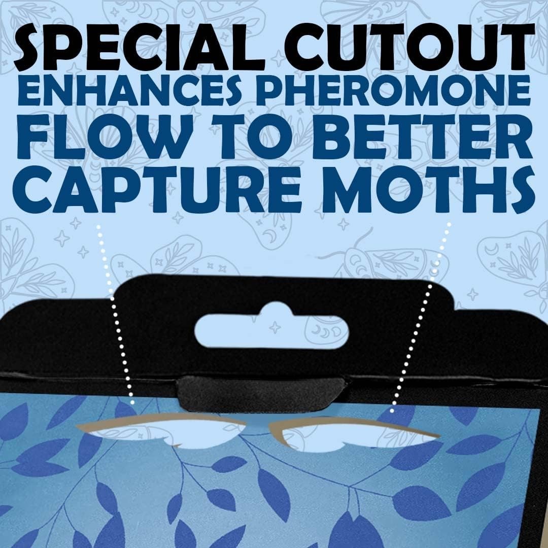 Pantry Moth Traps 6 Pack Blue Non-Toxic Child Pet Safe Insect Killer
