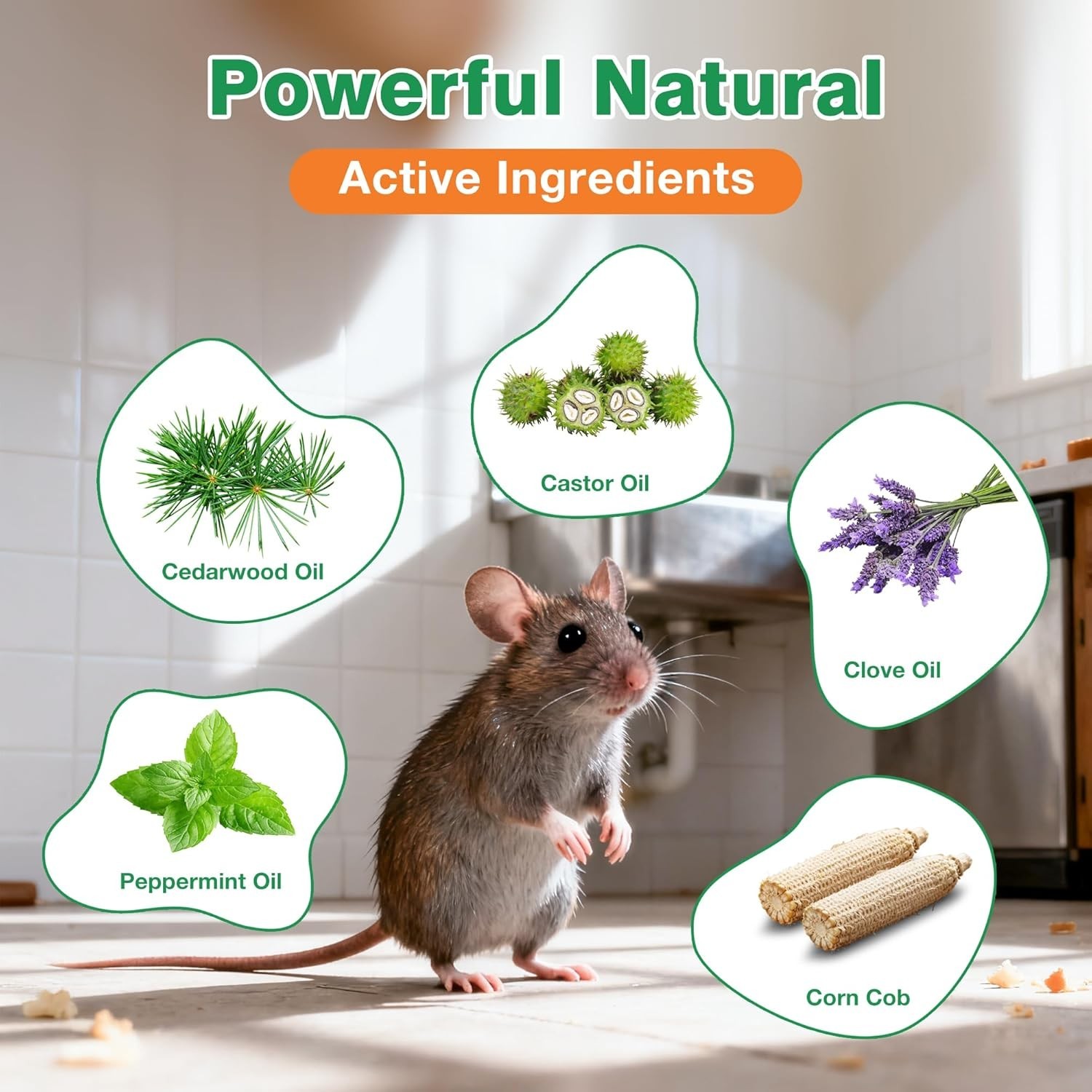Natural Rodent Repellent Peppermint Sachets 24 Pack Mouse Mice Pest – US