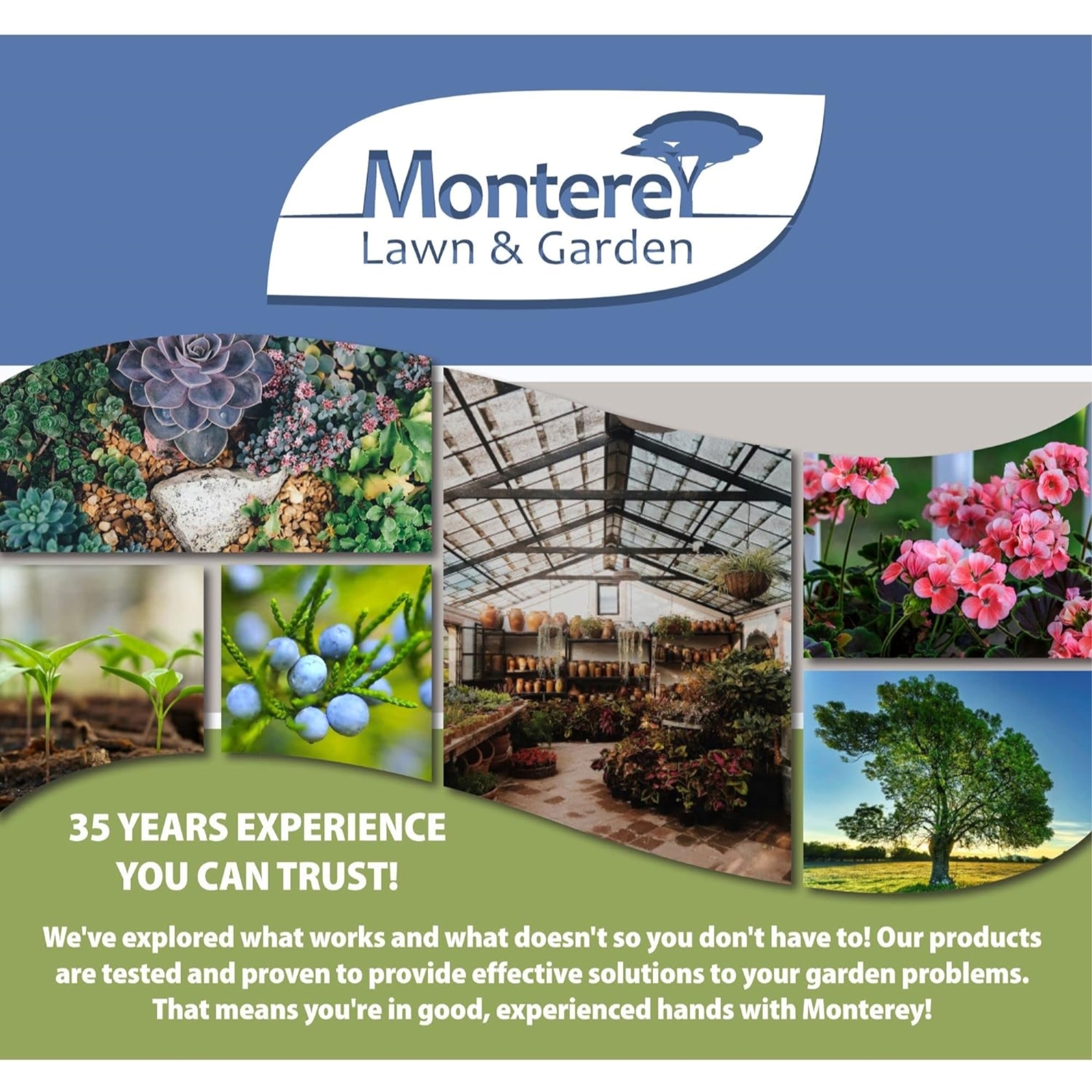 Monterey LG5328 Getter, Post Emergence Herbicide for Grass Weeds, 8 oz