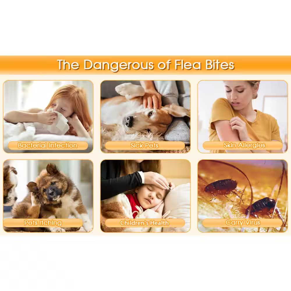 Modern Indoor Flea Traps with 8 Sticky Disc & 4 Bulbs & 2 Electric Wires, Flea K