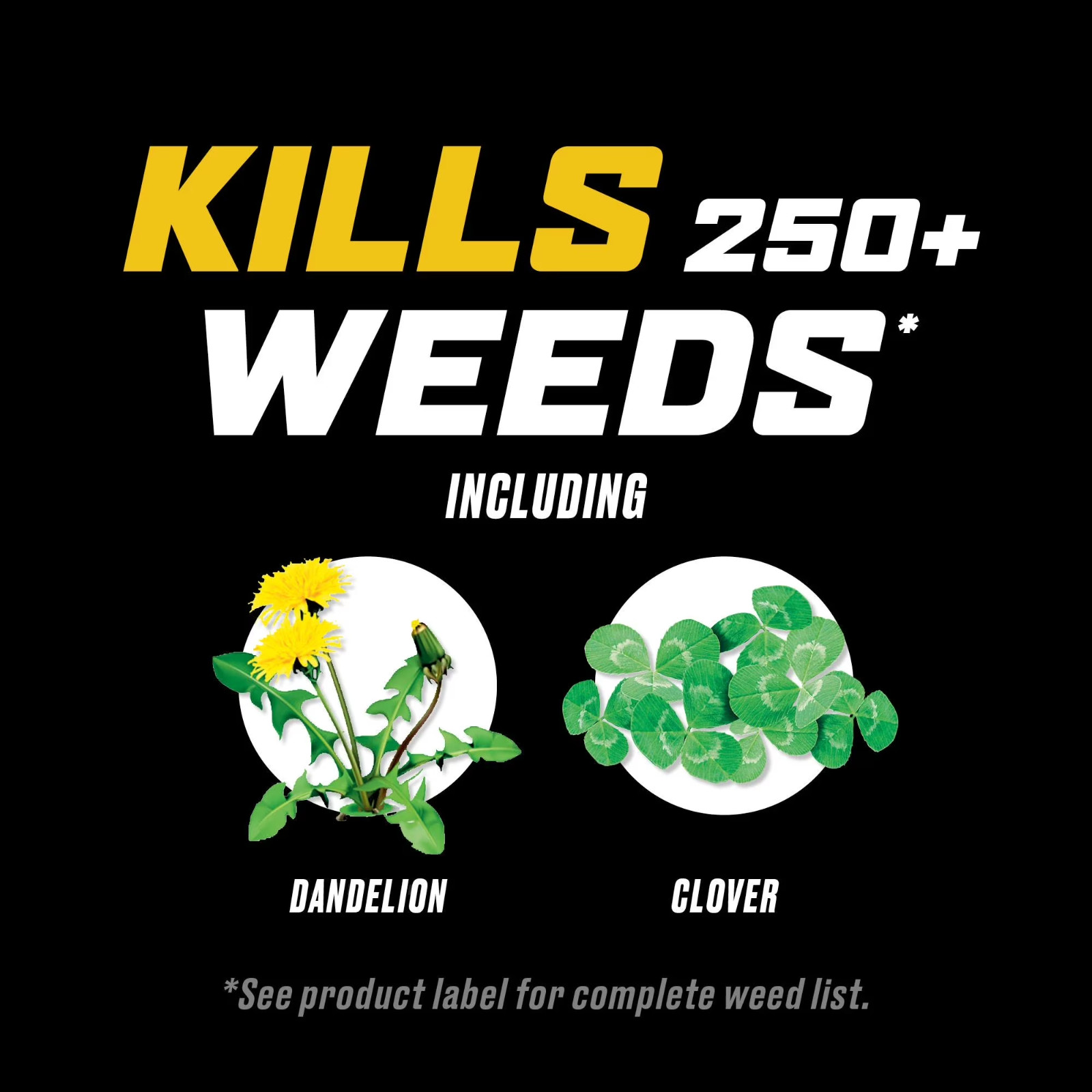 Ortho WeedClear Weed Killer for Lawns Concentrate 32 fl oz Dandelion Control