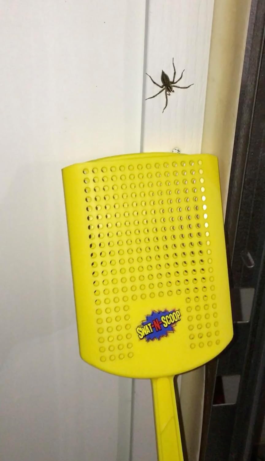 Heavy Duty Fly Swatter and Spider Catcher and Release, Insect Fly Catchers