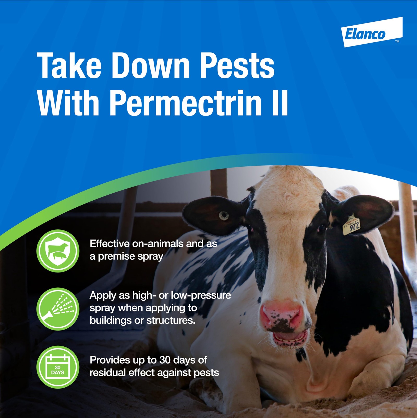 Permectrin II Insecticide for Farm Animals | Insect Killer | 30-Day 8 Oz