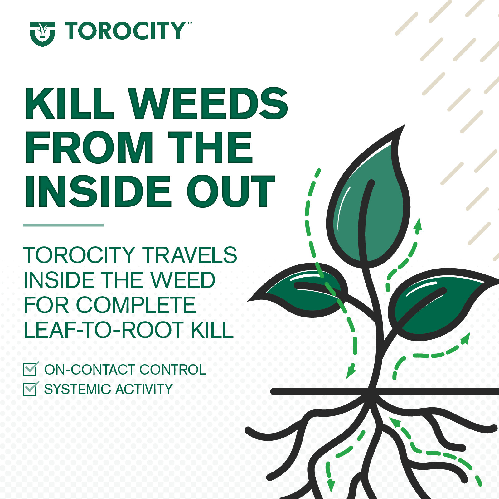 Torocity Turf Herbicide (8 oz) by Atticus – Mesotrione Weed Killer for Lawns