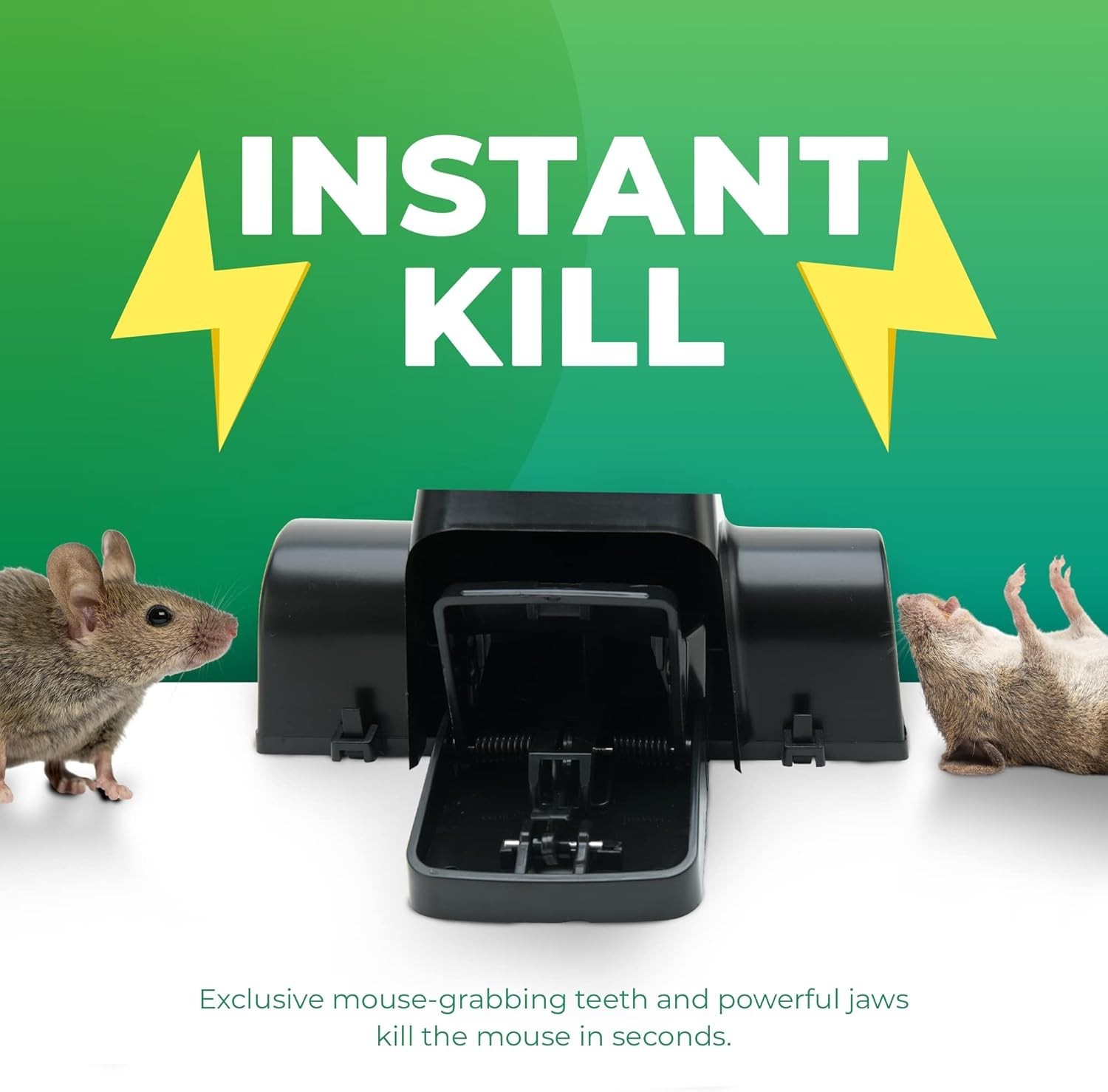 Pack of 2 Modern Rat Traps – Child-Safe, Easy to Use Rodent Control Solution