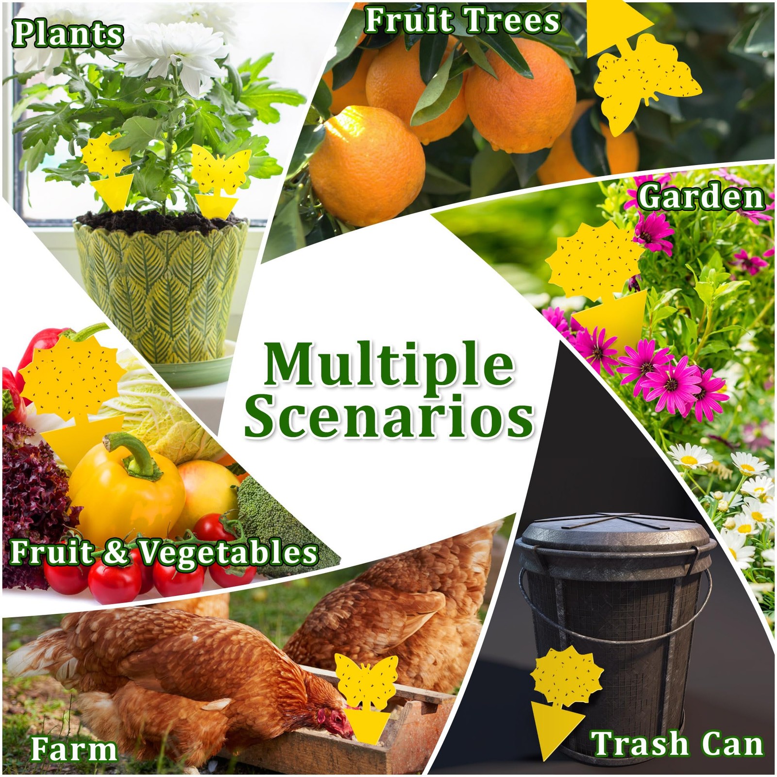 Fruit Fly Traps Indoor Fungus Gnat Trap 48PCS for Plants Yellow Houseplants O…