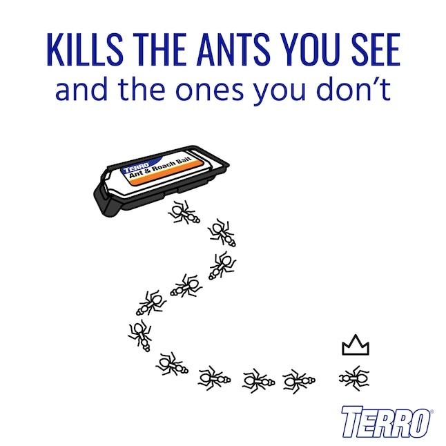 TERRO Ant and Roach 1.72 -fl oz Ready to use Roach bait station 4 -Pack