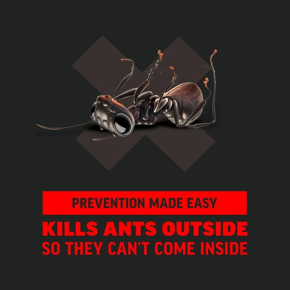 1 lb. 1,080 sq.ft. ft. Outdoor Ant Killer Granule Bait for Home Perimeters