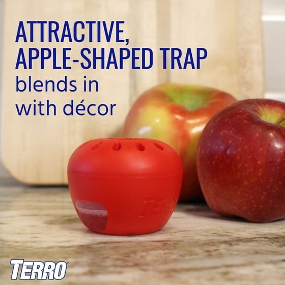 Indoor Fruit Fly Trap, (2-count) , Terro Traps, In Built With Window Sinks…