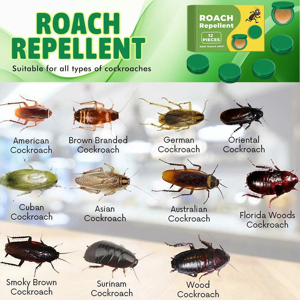 Cockroach Gel Bait Roach Killer , Insecticida Poderoso para Eliminar Cucarachas