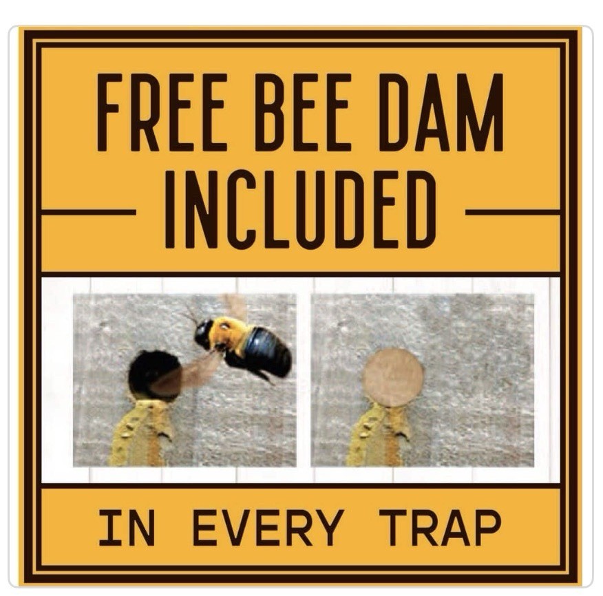 Lot of 6 x Bees N Things Outdoor Carpenter Bee Hanging Trap with 15 ft. Coverage