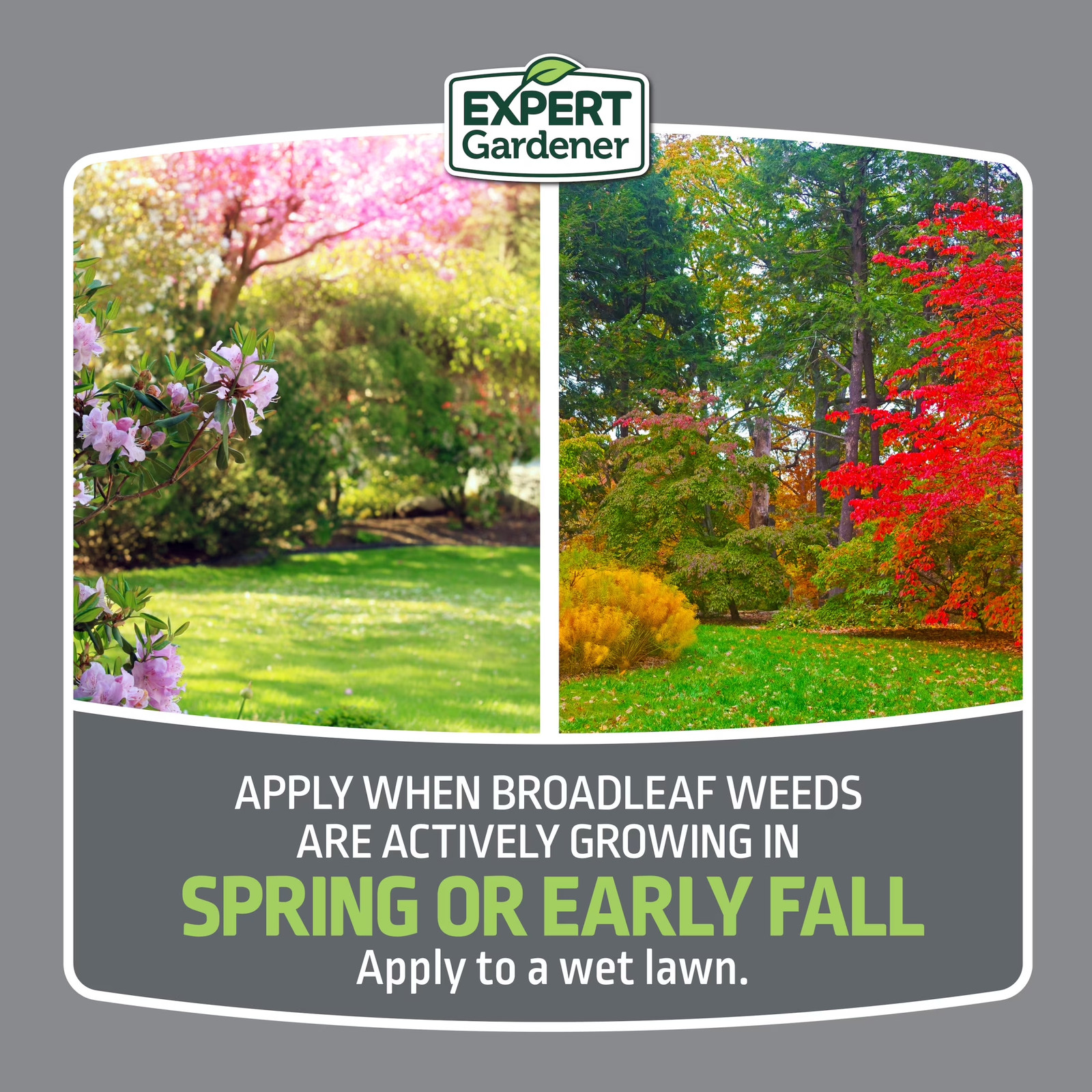 Weed & Feed plus Crabgrass Control, Lawn Fertilizer 18-0-1, 12 Lb. Prevents up t
