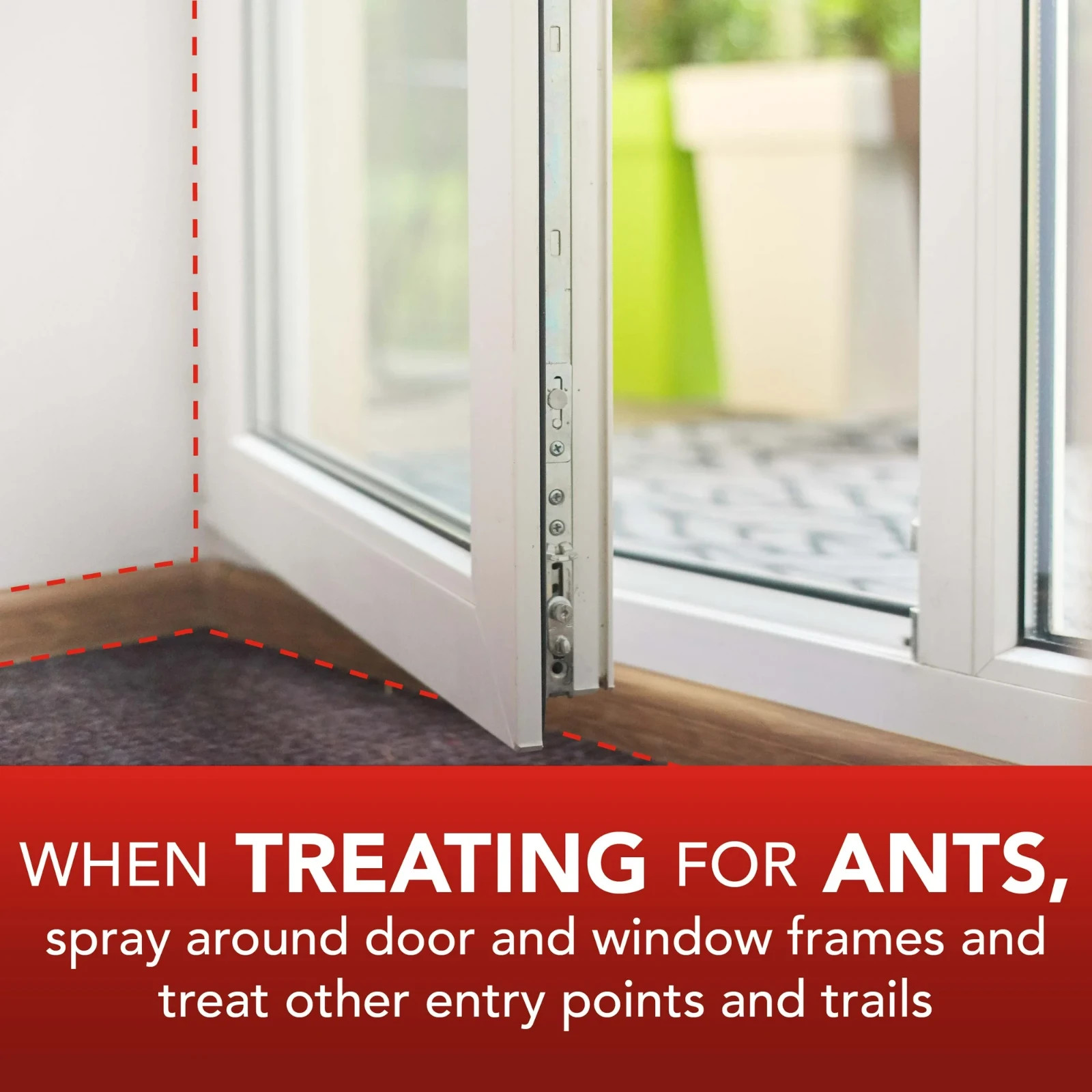 Eliminator Ant Roach & Spider Killer Aerosol Spray, Twin Pack, 17.5 oz Each