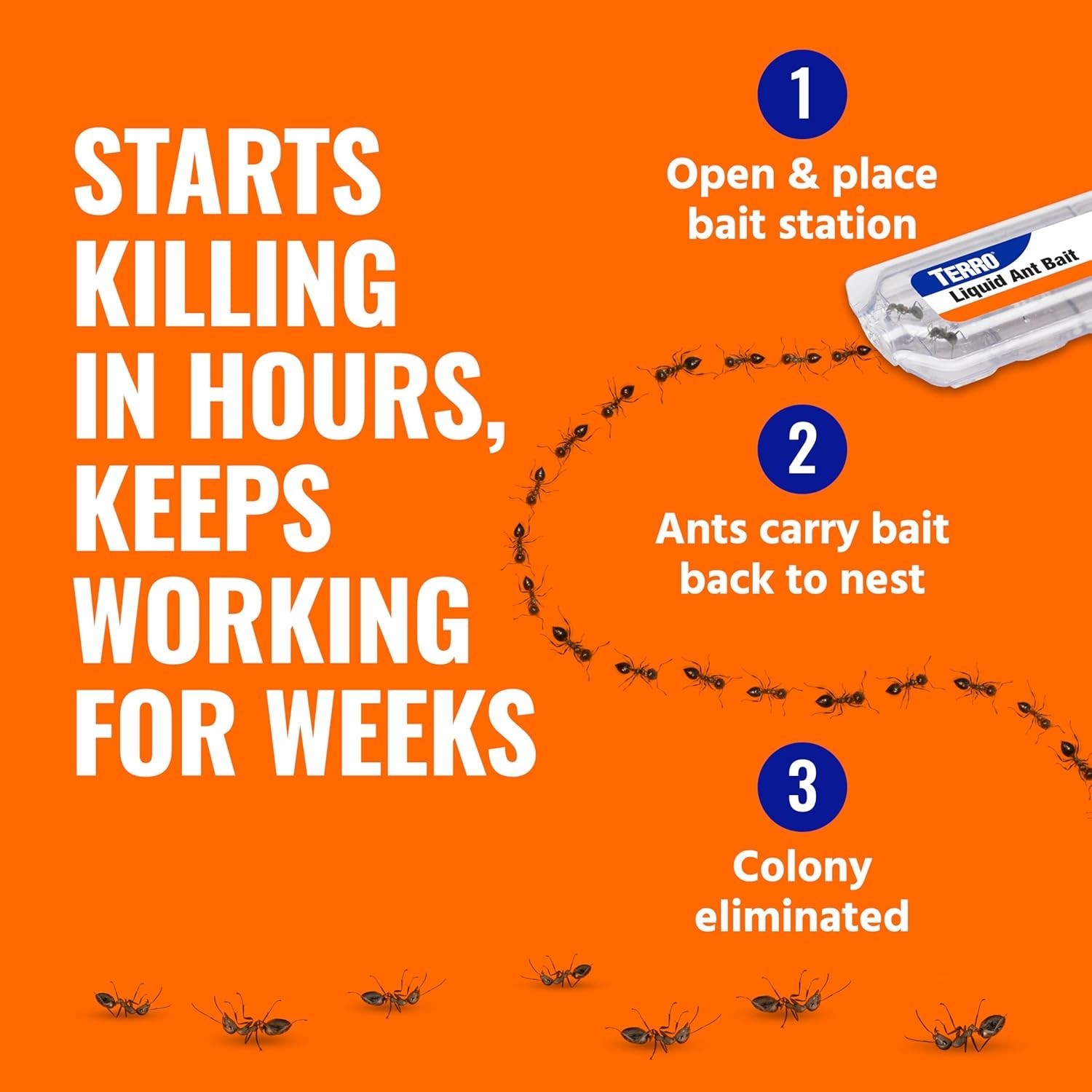 TERRO Ant Killer Bait Stations T300B Liquid Bait to Eliminate Ants 12 Count