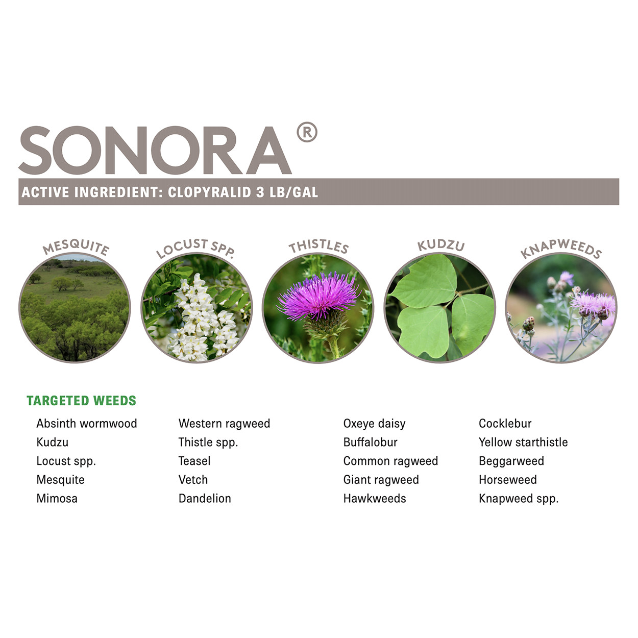 Sonora Herbicide for Woody Weeds and Brush 128 fl oz by Alligare