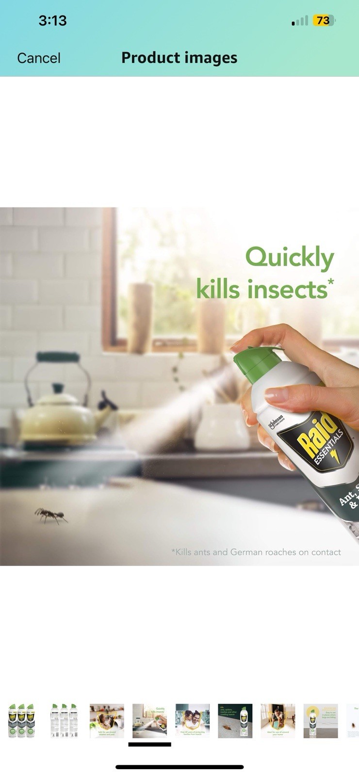 Raid Essentials Ant Spider and Roach Killer Aerosol Spray ( 6pc )