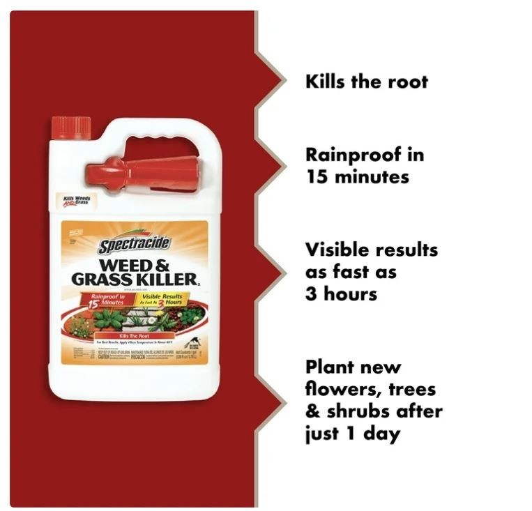 Spectracide Weed and Grass Killer 128 Oz Sprayer Ready-to-use 1 Gallon