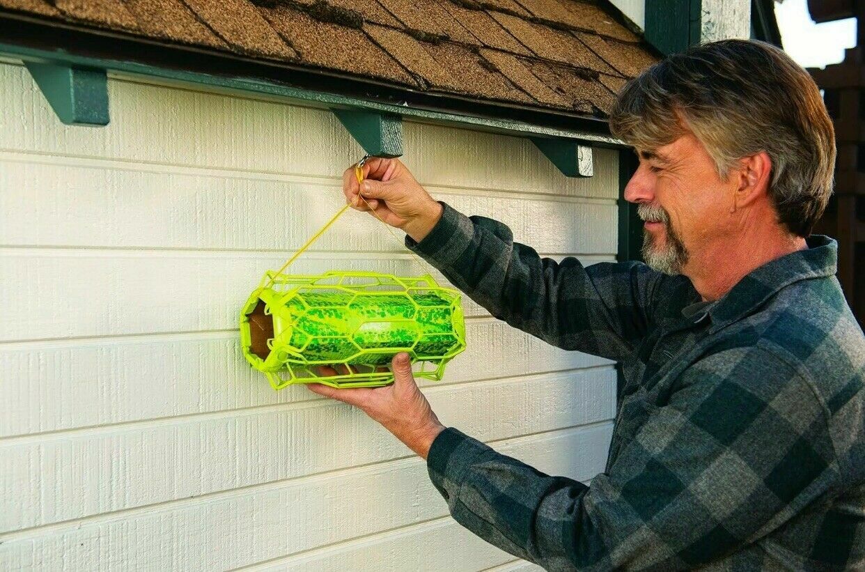 RESCUE! TrapStik for Wasps, Mud Daubers, Carpenter Bees – These work great! USA