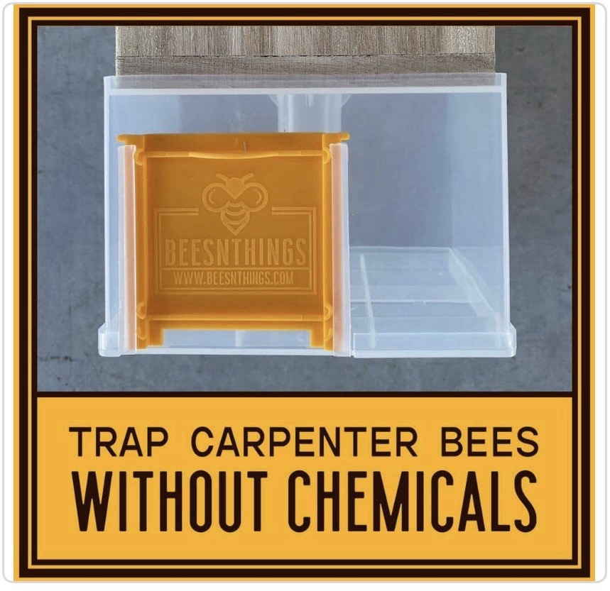 Lot of 6 x Bees N Things Outdoor Carpenter Bee Hanging Trap with 15 ft. Coverage