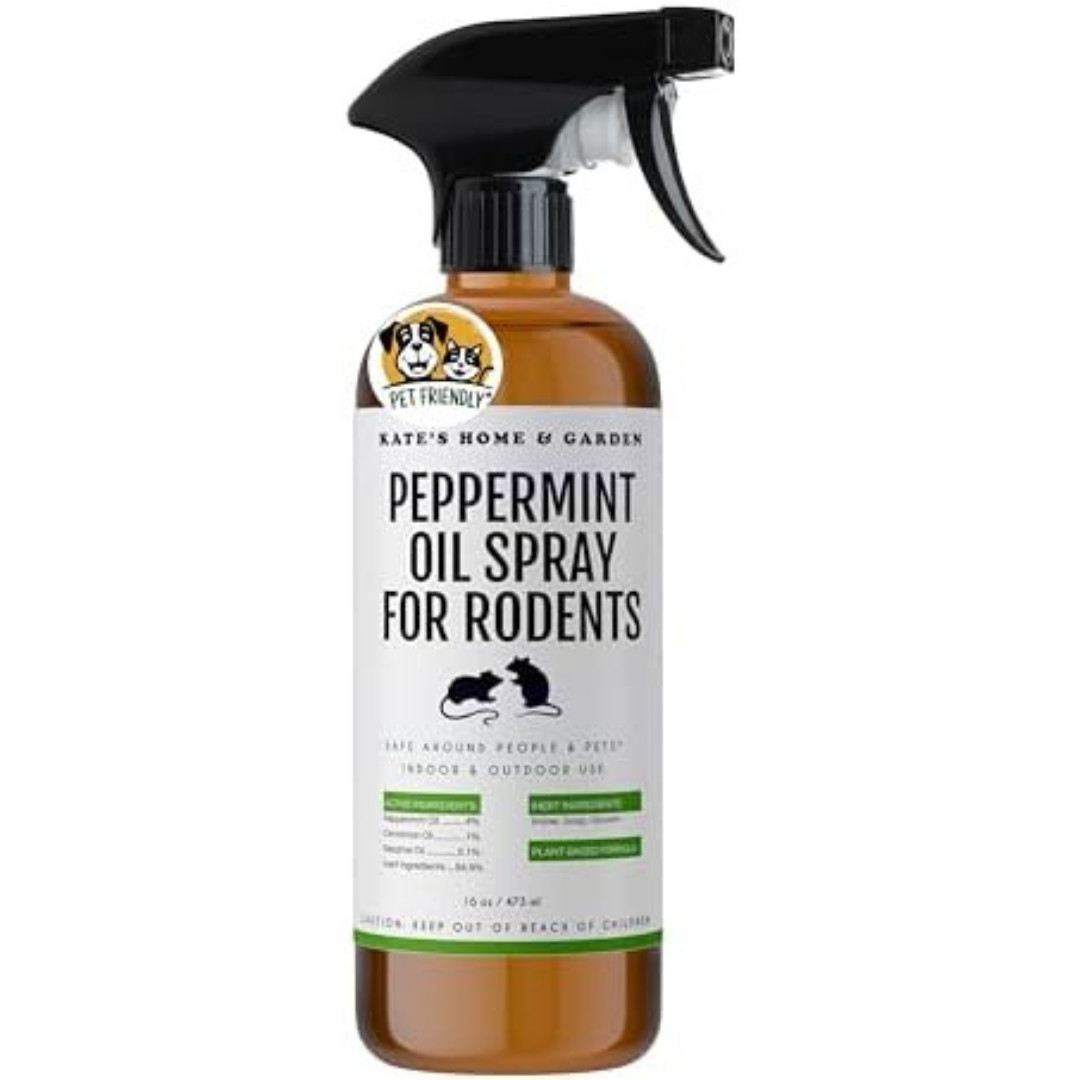 Peppermint Oil Spray, for Rodents Mice Raccoon Bat and, Squirrels Rodent Repelle
