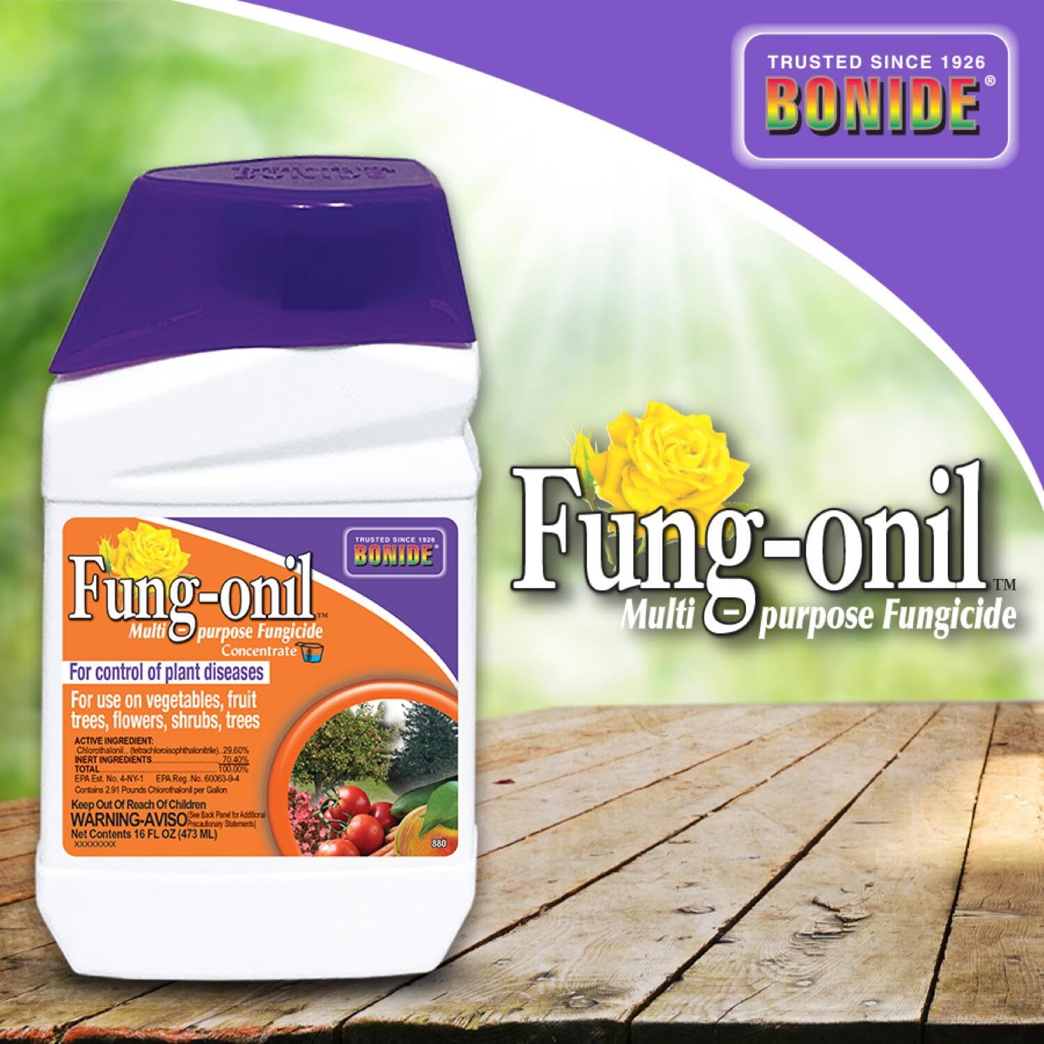 Bonide Disease Control Fung-onil Multi-Purpose Fungicide Concentrate 16 oz.