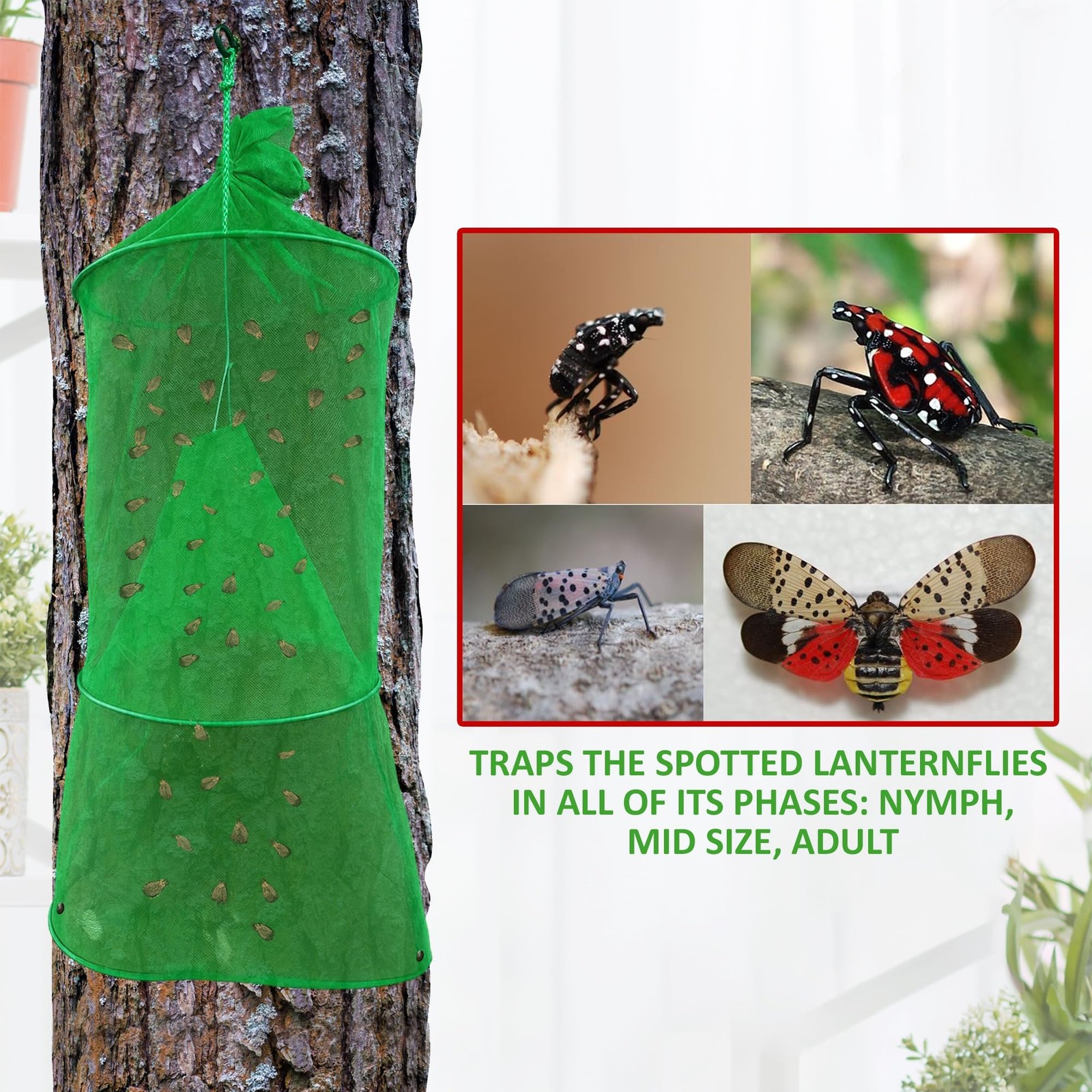 Spotted Lanternfly Mesh House Trap SLF Lantern Fly & Nymph Catcher 1 Pack