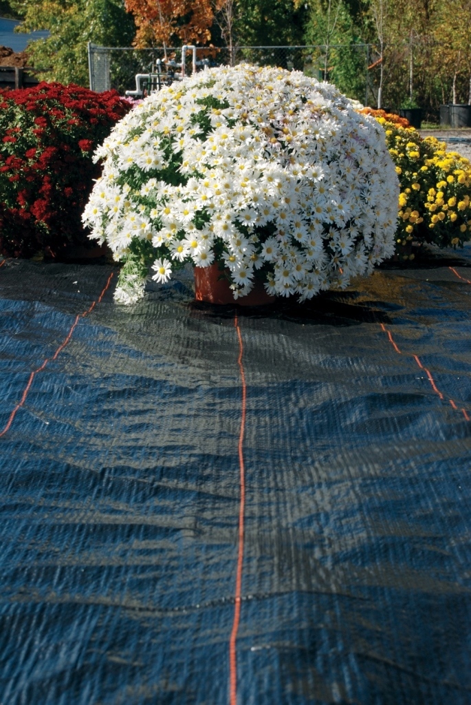 DeWitt 15 Year Ultra Web Weed Barrier Landscape Fabric 6’x600′ Roll
