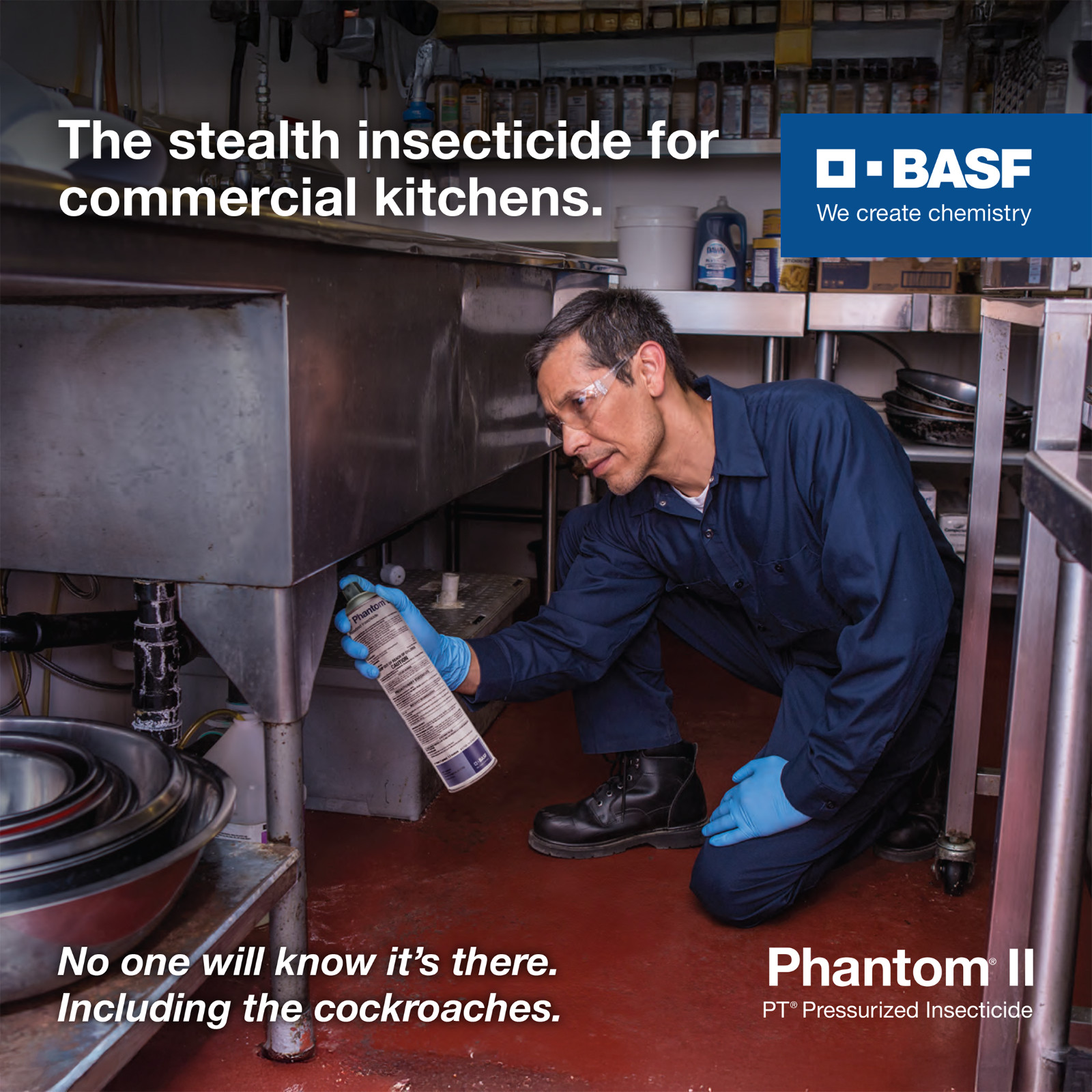 BASF PT Phantom II Pressurized Insecticide Bedbugs 14 oz Can