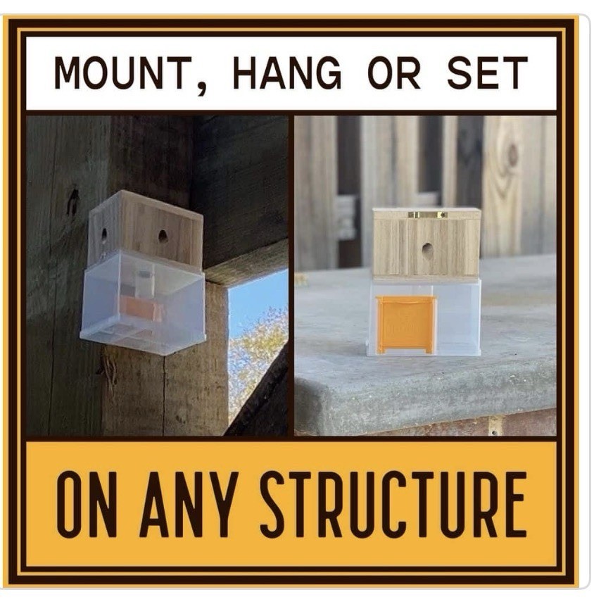 Lot of 6 x Bees N Things Outdoor Carpenter Bee Hanging Trap with 15 ft. Coverage