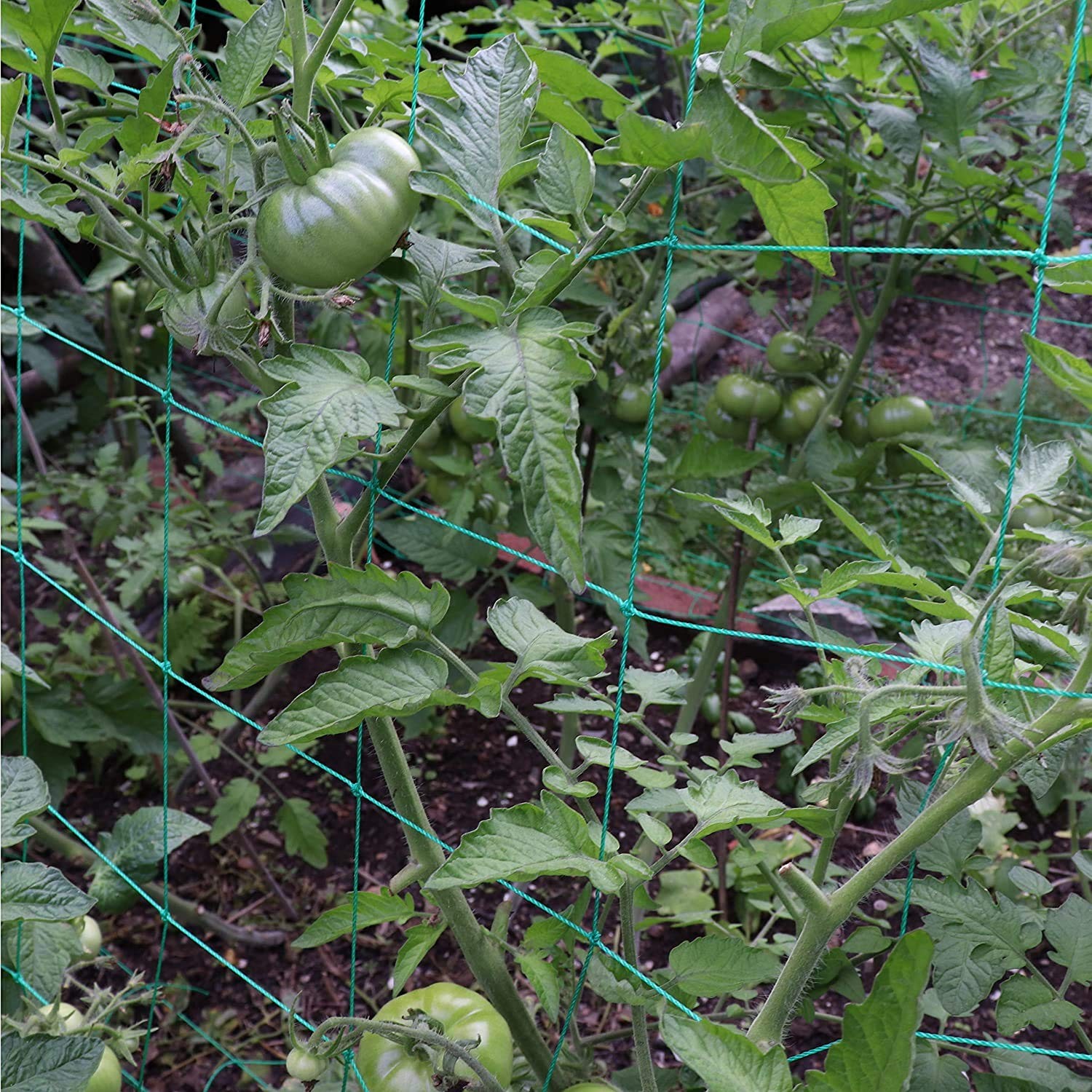1 PCS 8.2×6.6ft Heavy Duty Garden Trellis Netting Climbing Vine Tomato