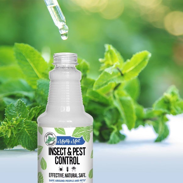 lnsect & Pest Control – 15oz: Pump Spray, Ready to Use, Indoor Outdoor