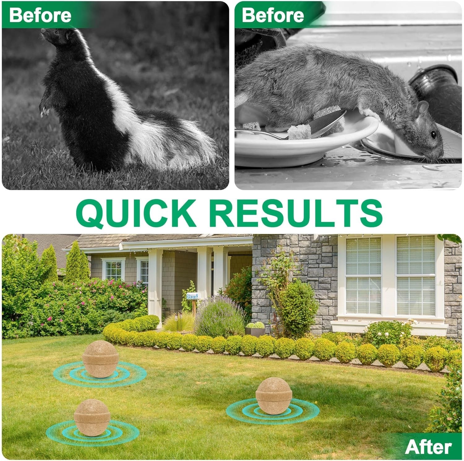 24 Pack Skunk Repellent Outdoor, Natural Peppermint Skunk Repellent Ball Humane