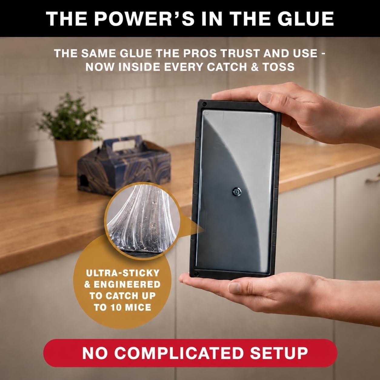 Catch & Toss No-Touch Mouse Traps – 2 Pack, Disposable & Child-Safe Solution