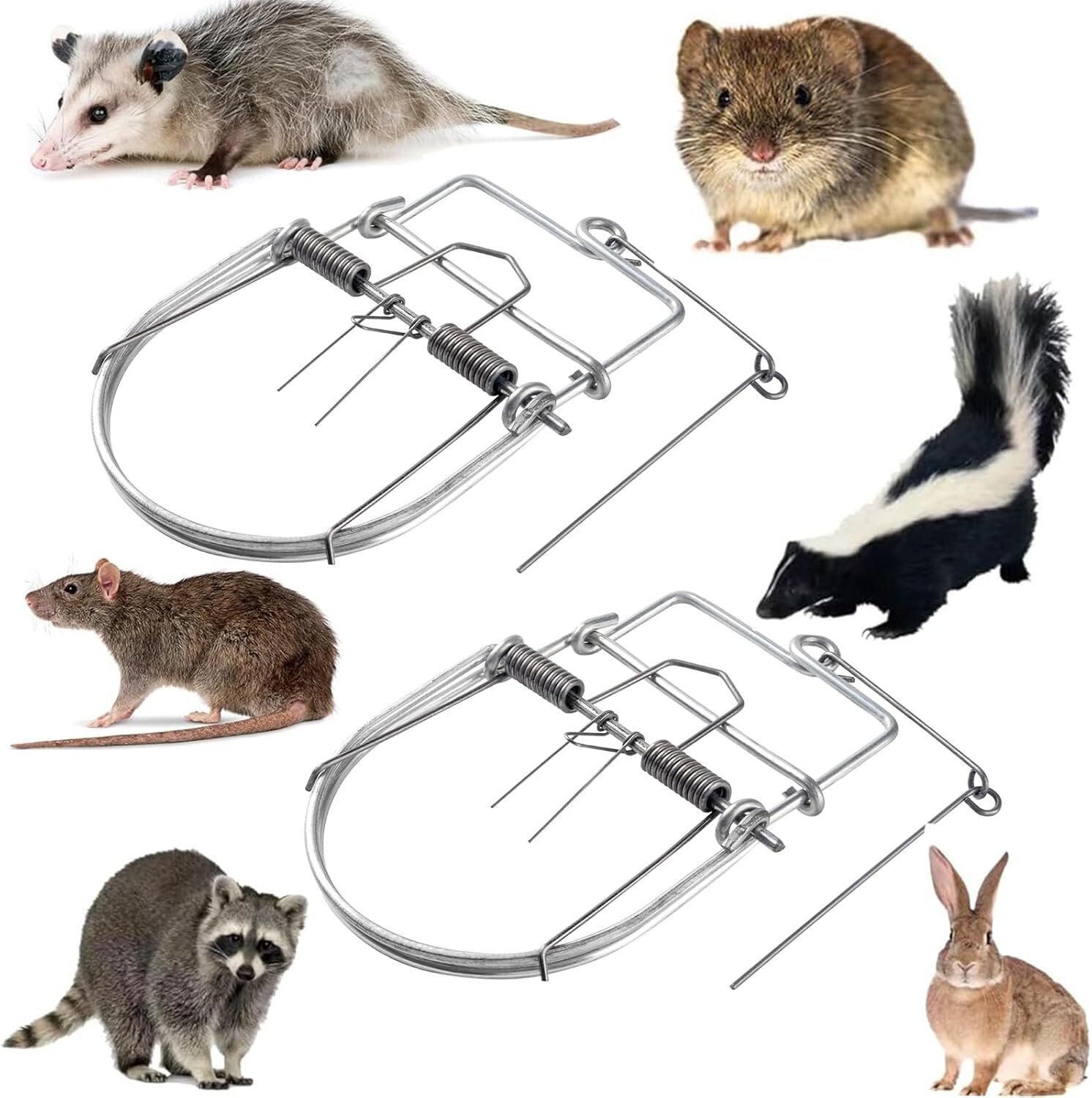 2Pcs Small Animal Catch Traps Mouse Trap Spring Trapt Rodent Cage Suit for Rat