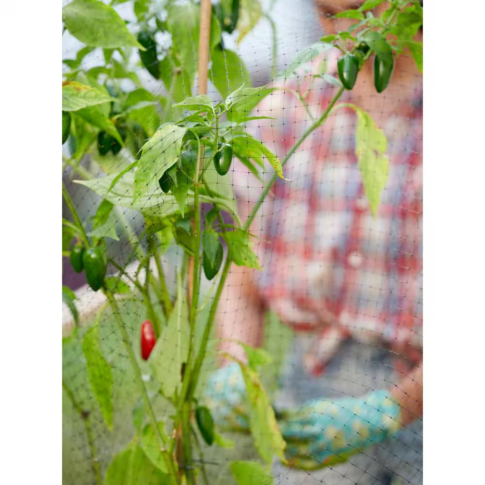 14 Ft. X 14 Ft. Polypropylene Bird Block Netting Barrier, UV Protected